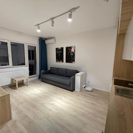 Treasure Luxury Apartment Palace Bükreş Dış mekan fotoğraf
